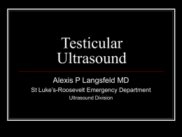 Testicular Ultrasound