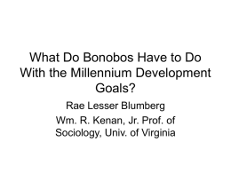 What Do Bonobos Have to Do With the Millennium Development