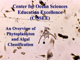 COSEE_Algal_Classification_Introduction
