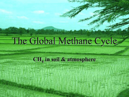 The Global Methane Cycle