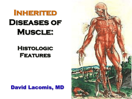 Diseases of Muscle