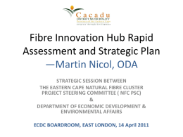 Fibre Innovation Hub Rapid Assessment and Strategic Plan