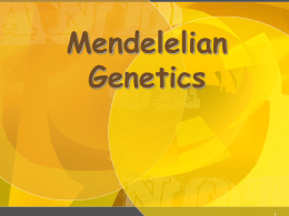 Mendelelian Genetics - Kaikoura High School