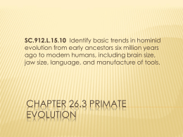Chapter 26.3 Primate Evolution