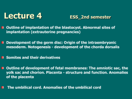 Lecture4 GenMed_2nd semester