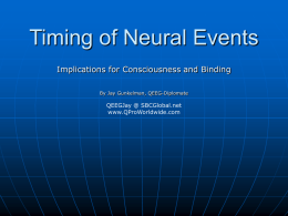 Timing of Neural Events - bio