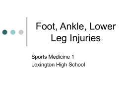 Foot, Ankle, Lower Leg