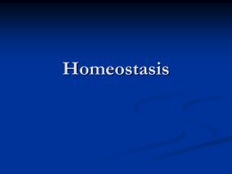 Homeostasis of the body