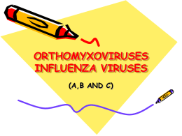 ORTHOMYXOVIRUSES INFLUENZA VIRUSES