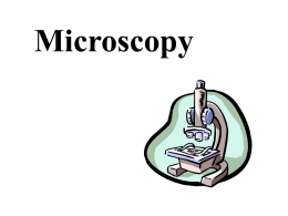 Microscopy - Ms. Pass's Biology Web Page