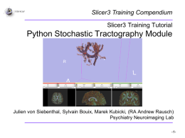 Python Stochastic Tractography Module