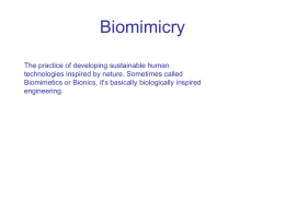 Biomimicry - Concept2Creation