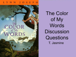 The Color of My Words Discussion Questions