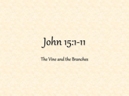 John 15:1-11 - FOREST HILLS CHURCH OF CHRIST
