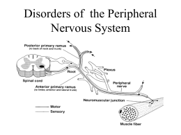 Acute Motor Neuropathy