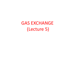 GAS EXCHANGE