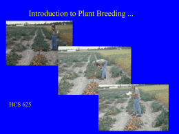 HCS 825 Advanced Plant Breeding