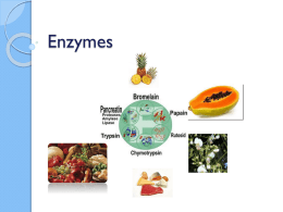 Enzymes - Food Science & Human Nutrition