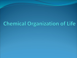 Chemical Organization of Life