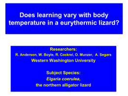 Does learning vary with body temperature in a eurythermic