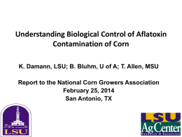 AMCOE REPORT Understanding Biological Control of Aflatoxin