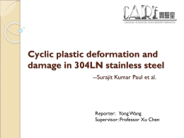 Cyclic plastic deformation and damage in 304LN stainless steel