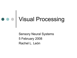 Visual Processing - West Virginia University