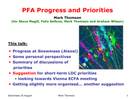 PFA progress and strategy for the LDC concept