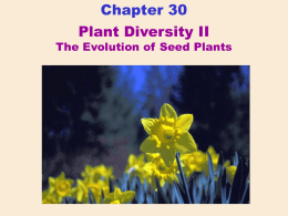 Plant Diversity - Colonization of Land