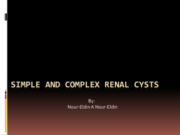 Complex renal Cysts - eLearning