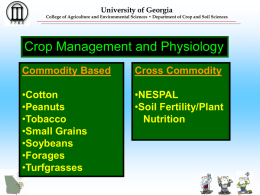 Crop Management/Physiology—Dr. Carrow