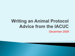 Writing an Animal Protocol - IACUC Home