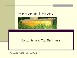 Horizontal and Top Bar Hives