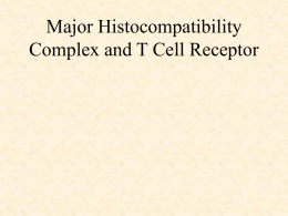 Major Histocompatibilty Complex (MHC) and T Cell Receptors
