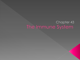 The Immune System - Thornapple Kellogg High School