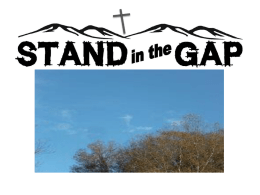 Stand in the Gap”