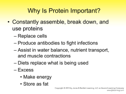 Proteins - PBworks