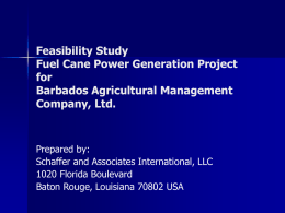 Feasibility Study Fuel Cane Power Generation Project for