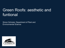 Green Roofs: aesthetic and funtional