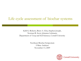 Life Cycle Assessment of Biochar
