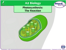 Photosynthesis: The Reaction