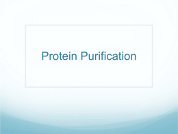 Protein Purification - Home for HASPI, San Diego's Health