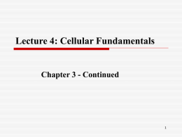 Lecture 4: Cellular Fundamentals