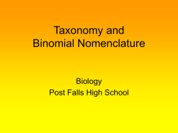 Taxonomy - District 273 Technology Services