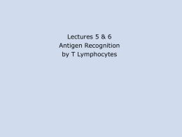 3-ag-t cells - PowerPoint Presentation