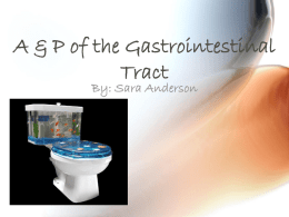 A & P of the Gastrointestinal Tract