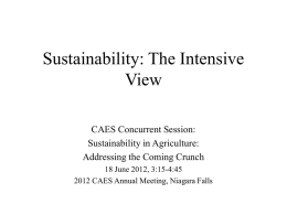 Sustainability: The Intensive View