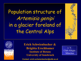 Population structure of Artemisia genipi in a glacier