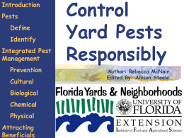 Control Yard Pests Responsibly