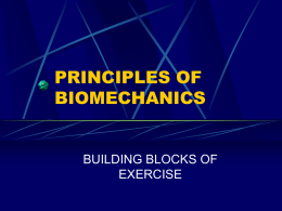 Seven Principles of Biomechanics